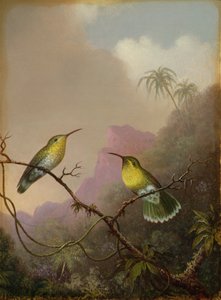 Two Hummingbirds, c.1865-75 by Martin Johnson Heade